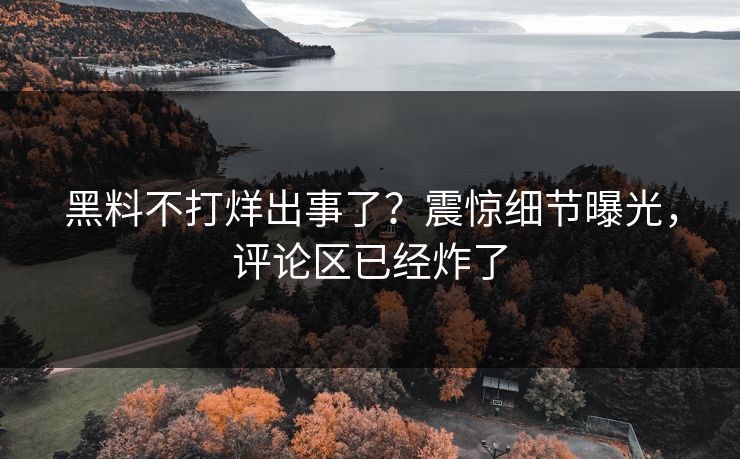黑料不打烊出事了？震惊细节曝光，评论区已经炸了
