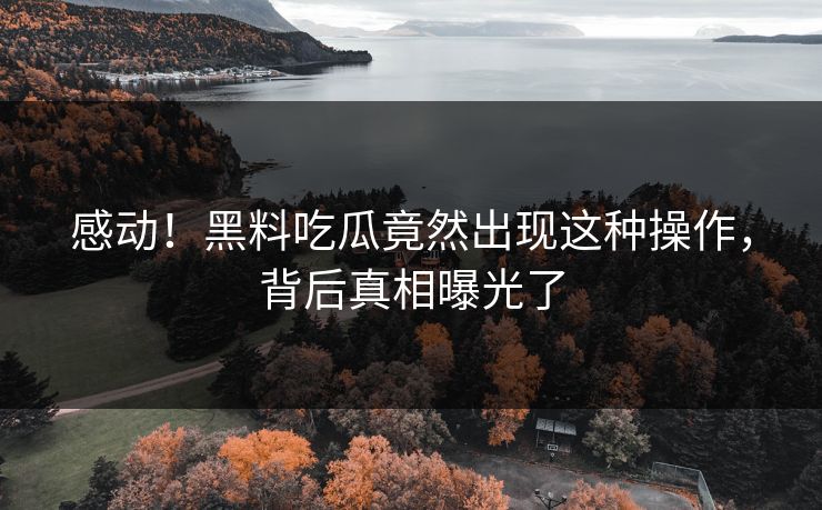 感动！黑料吃瓜竟然出现这种操作，背后真相曝光了