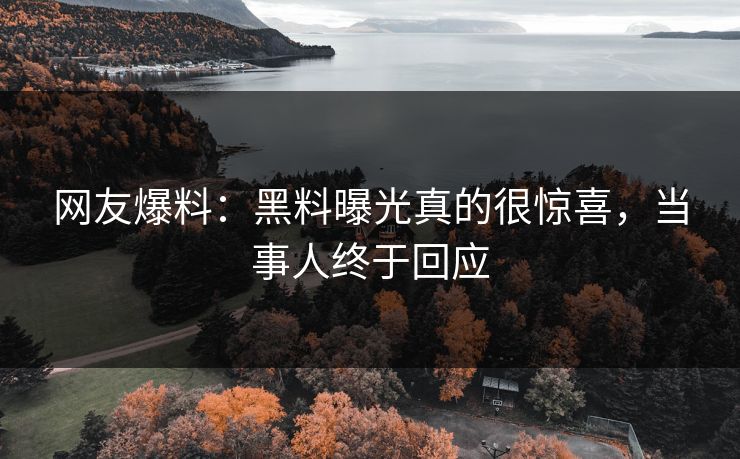 网友爆料:黑料曝光真的很惊喜,当事人终于回应