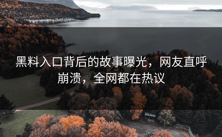 黑料入口背后的故事曝光，网友直呼崩溃，全网都在热议