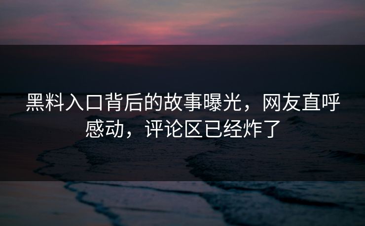 黑料入口背后的故事曝光，网友直呼感动，评论区已经炸了