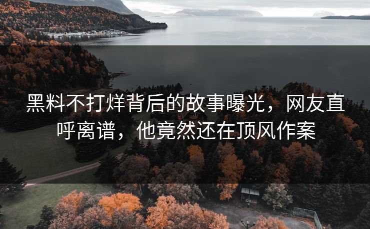黑料不打烊背后的故事曝光，网友直呼离谱，他竟然还在顶风作案