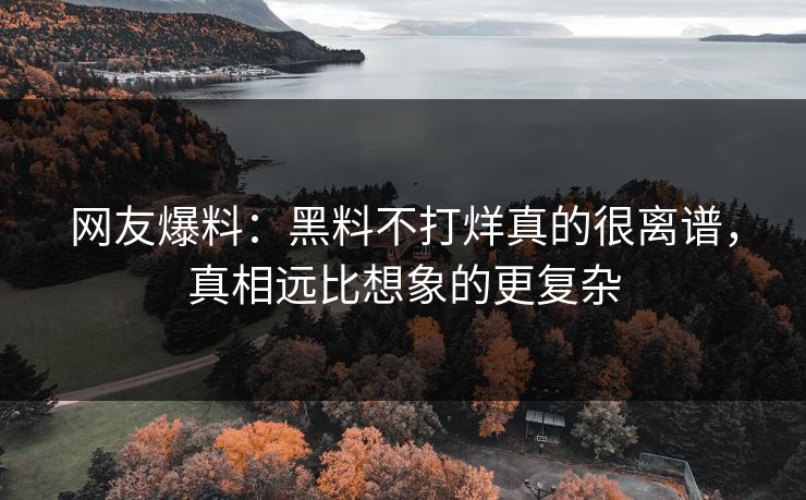 网友爆料：黑料不打烊真的很离谱，真相远比想象的更复杂
