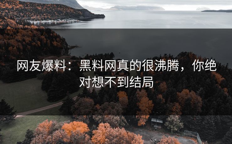 网友爆料：黑料网真的很沸腾，你绝对想不到结局