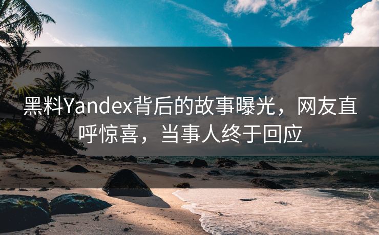 黑料Yandex背后的故事曝光，网友直呼惊喜，当事人终于回应