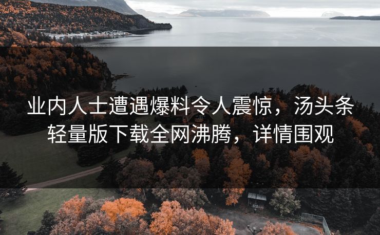 业内人士遭遇爆料令人震惊，汤头条轻量版下载全网沸腾，详情围观
