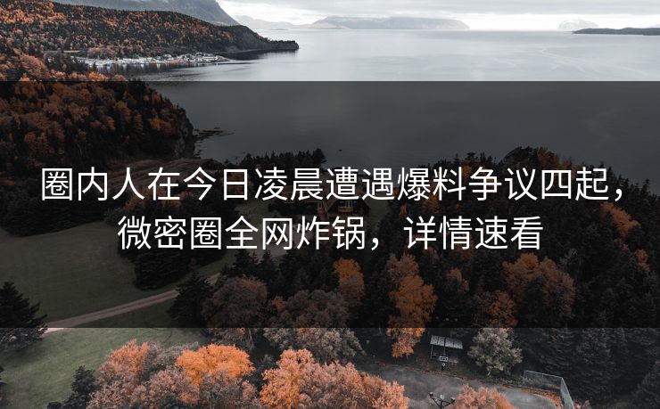 圈内人在今日凌晨遭遇爆料争议四起，微密圈全网炸锅，详情速看