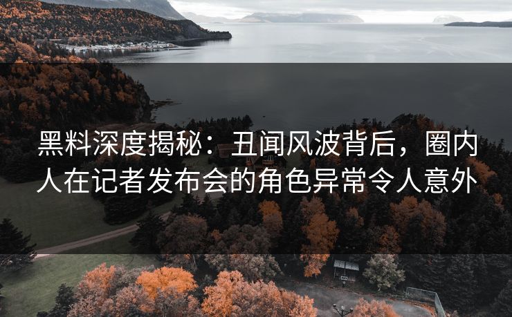 黑料深度揭秘：丑闻风波背后，圈内人在记者发布会的角色异常令人意外