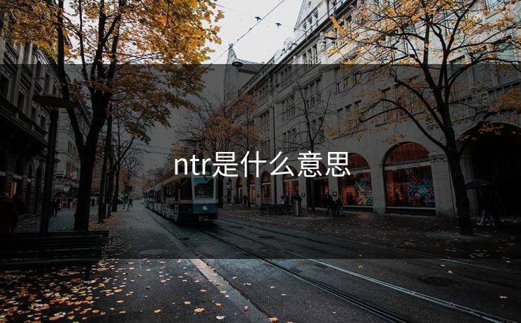 ntr是什么意思