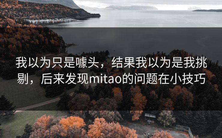 我以为只是噱头，结果我以为是我挑剔，后来发现mitao的问题在小技巧